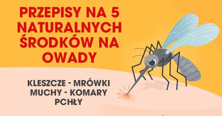 Przepisy na 5 naturalnych środków odstraszających owady
