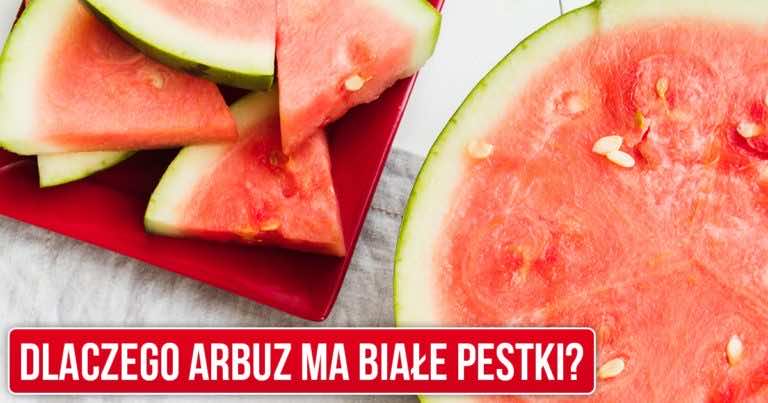 Dlaczego arbuz ma białe pestki?