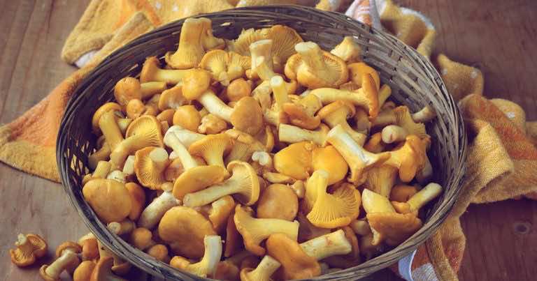 Najlepszy sposób na oczyszczenie kurek, który musisz znać!