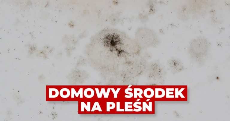 Domowy sposób na pleśń. Wystarczy ją spryskać tą mieszanką!