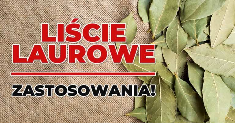Właściwości liści laurowych – dlaczego warto je mieć zawsze w kuchni?