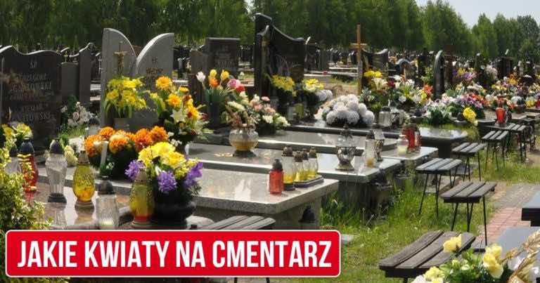 Kwiaty na cmentarz – jakie będą najlepsze?