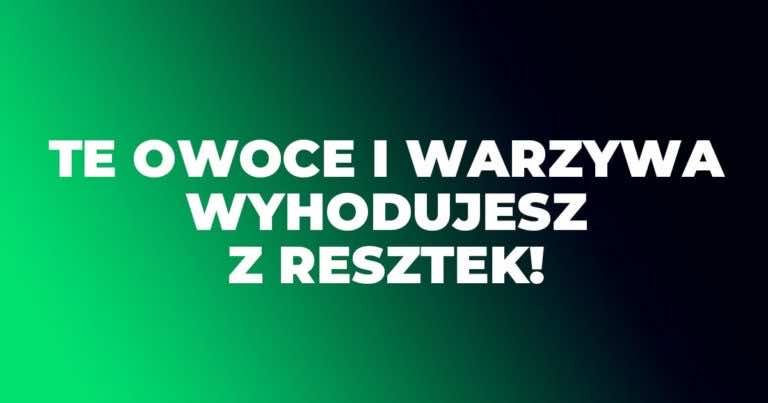 Kupiłaś warzywa lub owoce? Nie wyrzucaj odpadków po nich. Wyhodujesz z nich nowe!