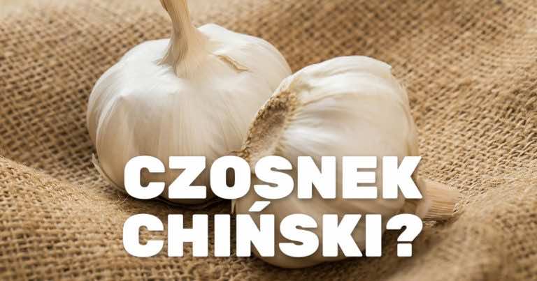 Nie kupuj czosnku z Chin. Zobacz jak go rozpoznać!