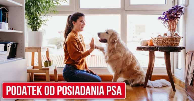 Podatek od posiadania psa w 2020 roku