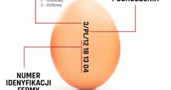 Czy wiesz co oznaczają kody na jajkach?