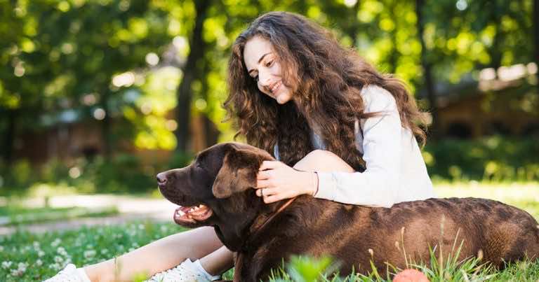 Jak nie należy głaskać psa?