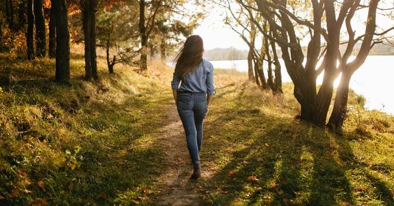 Lasy Państwowe – jakie zasady obowiązują w lesie?