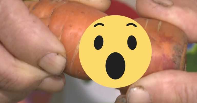 Nie uwierzycie, co znalazła na marchewce! Rozwiązała sprawę sprzed 13 lat.