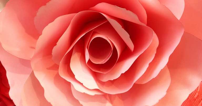 Jak zrobić róże z papieru