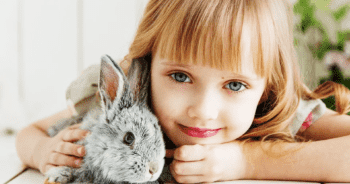 Kupno królika – co powinniśmy wiedzieć przed kupnem królika?