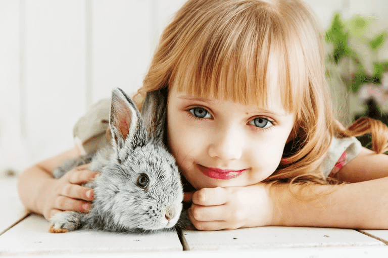 Kupno królika – co powinniśmy wiedzieć przed kupnem królika?
