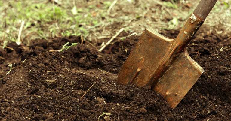 To najlepszy moment żeby sprzedać działkę ogrodową