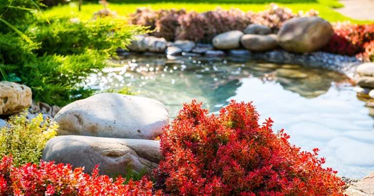 Możesz dostać nawet 5 tys. zł na zbieranie deszczówki!