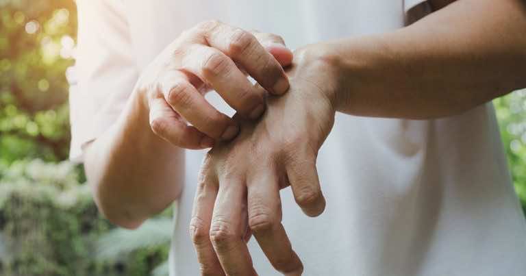 Jest niezwykle prosta w uprawie i odstrasza komary. Musisz ją mieć w ogrodzie i na balkonie!