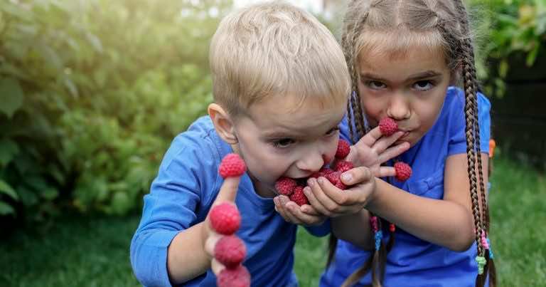 Czy wiesz czym jest BĄBLOWICA?