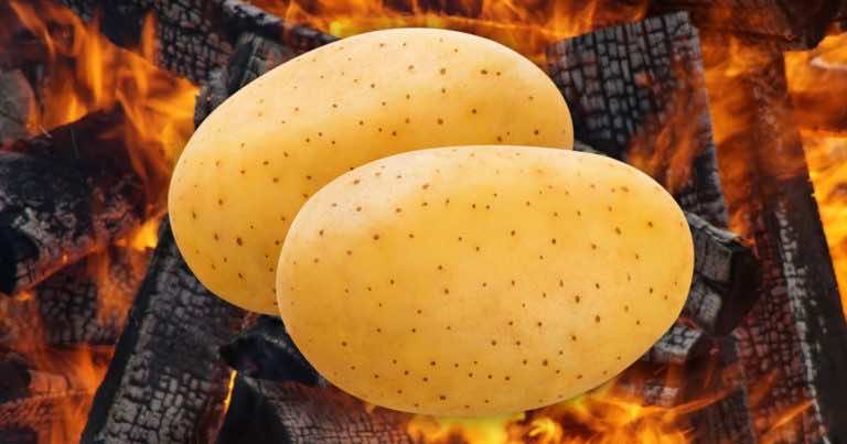 Ile czasu piec ziemniaki w ognisku?
