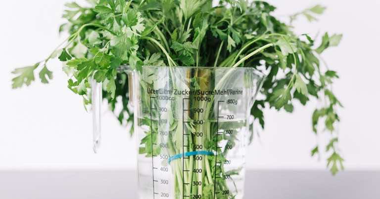 Aby uprawiać te zioła wystarczy szklanka z wodą!