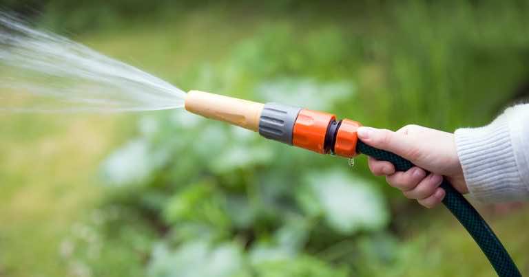 Sposoby na podlewanie kwiatów, gdy jesteśmy na urlopie