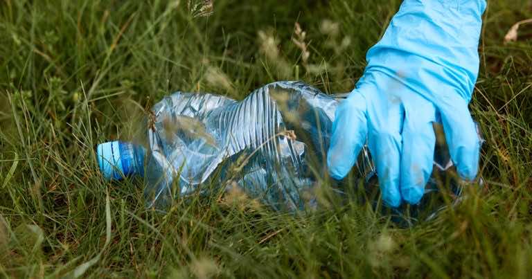 Dużo wyższa kara za wywóz śmieci do lasu i obowiązek sprzątania
