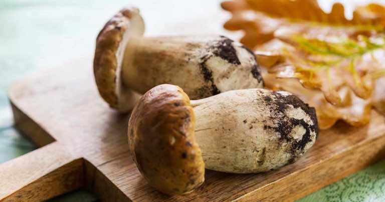 Ile czasu gotować grzyby?