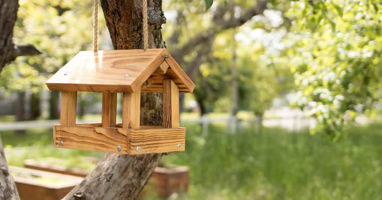 Jesień to czas na karmnik dla ptaków. Jak zrobić karmnik i czym karmić ptaki?