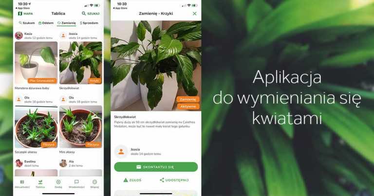 Aplikacja do wymieniania się kwiatami