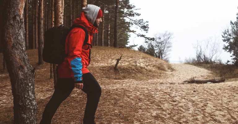 Dzięki tym trikom nigdy nie zgubisz się w lesie!