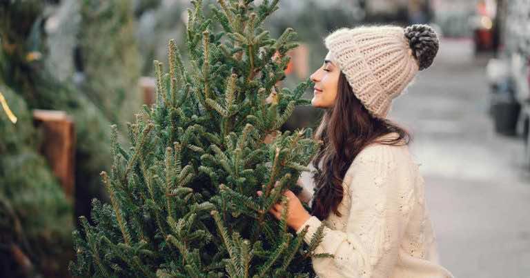 Co zrobić aby choinka na Święta stała dłużej?