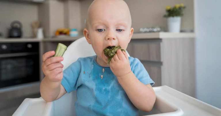 Dieta rocznego malucha – co jest faktem, a co mitem?