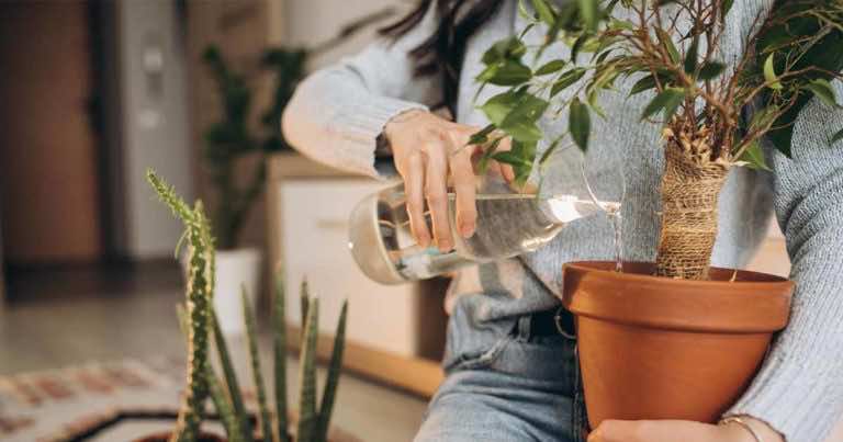 Nawóz do kwiatów, który masz już w domu! Domowe sposoby na nawożenie.