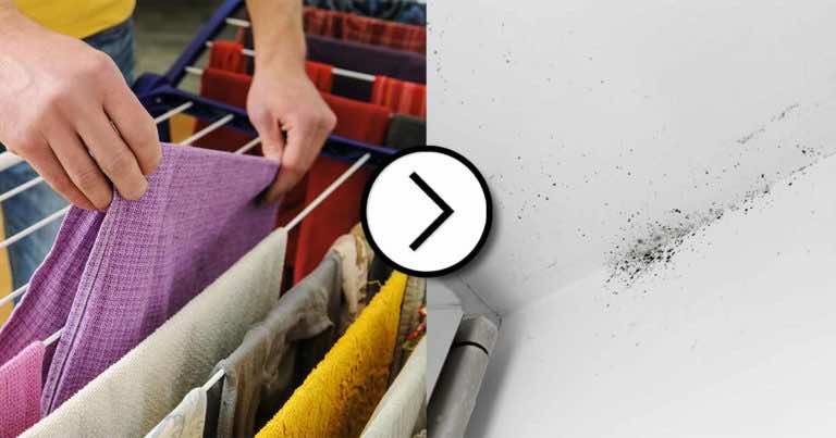 Suszenie prania zimą powoduje rozwój pleśni. Zapobiegnij temu w ten sposób!