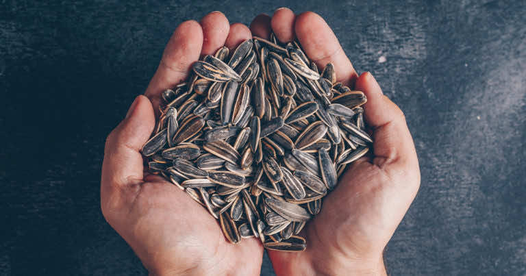 Czy słonecznik tuczy i czy warto go jeść?