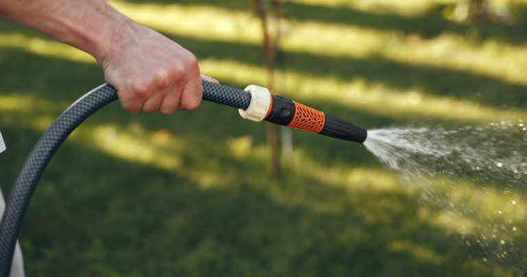 Kiedy zacząć podlewać trawnik?