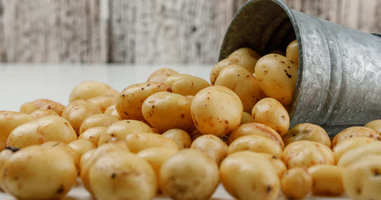 Jak obrać młode ziemniaki w Thermomix