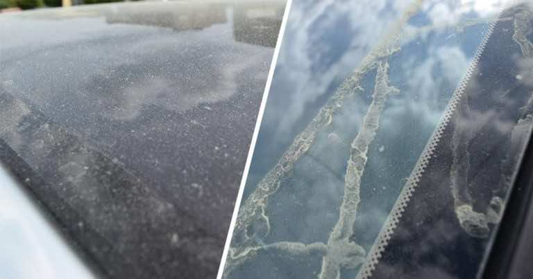 Żółty pył na samochodach – co to jest?