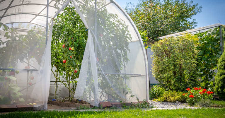 Jak zaciemnić szklarnię podczas upałów?