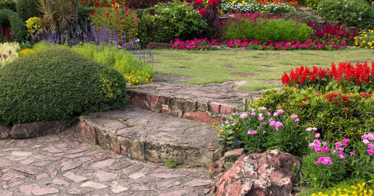 Które rośliny ogrodowe odporne są na suszę?