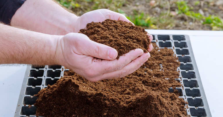 Kupując torfowe podłoża w markecie niszczymy nieodwracalnie bagna