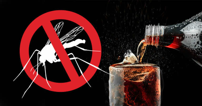 Denerwują Cię komary? Wykorzystaj Colę!