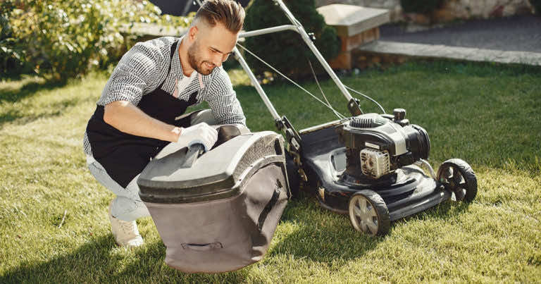Chcesz, aby Twój trawnik był piękny? O tym musisz pamiętać.
