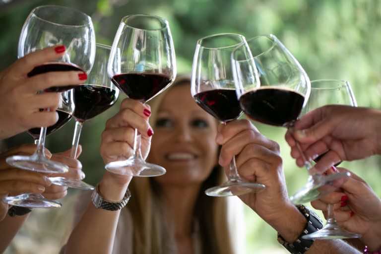 Primitivo – Twoje nowe ulubione wino