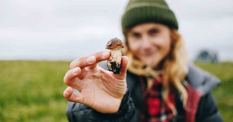 5 rzeczy, o których musisz pamietać idąc na grzyby
