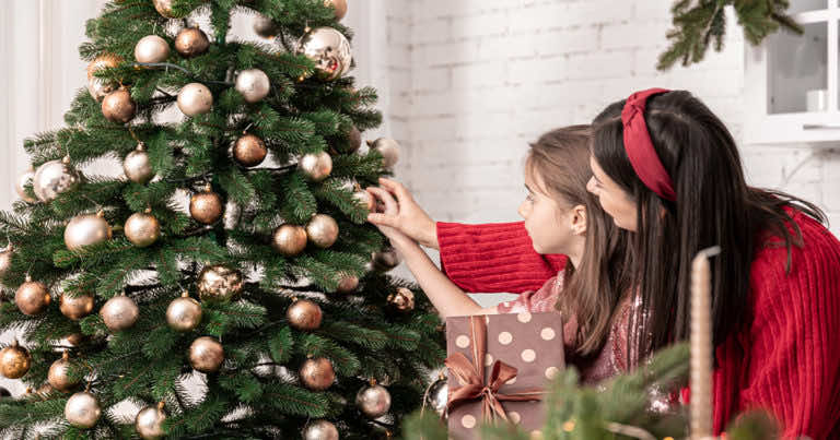 Jak wybrać choinkę? Wybierz najlepsze drzewko na święta!