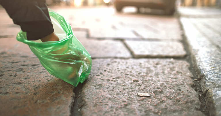 Nie zbierasz odchodów po psie? Nie tylko możesz dostać mandat, ale też szkodzisz przyrodzie!