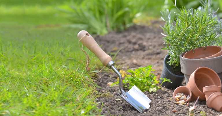 5 pomysłów na warzywniak w ogrodzie