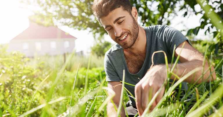 Maj w ogrodzie – co sadzić i siać, jak dbać o ogród w maju?