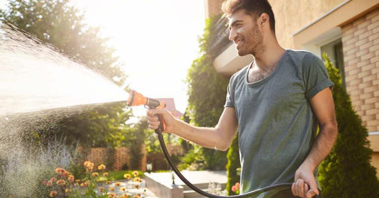 Jak podlewać rośliny podczas upałów?