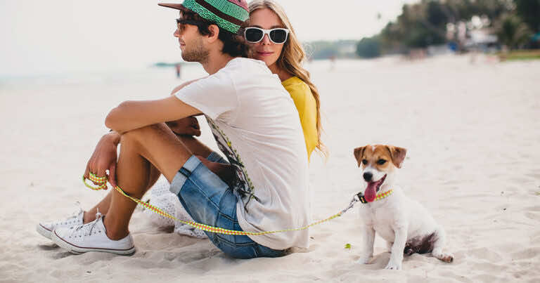 Czy pies może przebywać na plaży i jak zadbać o niego podczas plażowania?