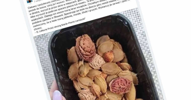 Zbieraj pestki owoców i wyrzucaj podczas spacerów. Słyszeliście o tym? Nie róbcie tego!